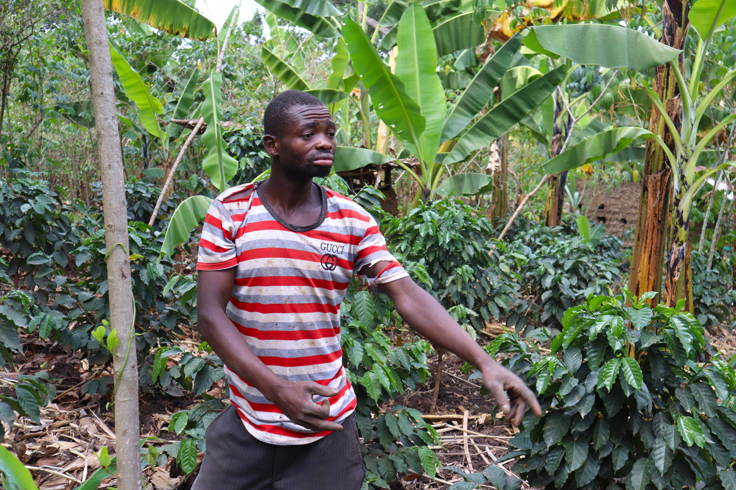 Coffee farmers in the field